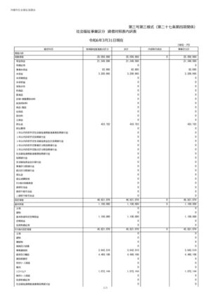 2024_3-3.事業区分貸借対照表内訳表_沖縄市社会福祉協議会のサムネイル