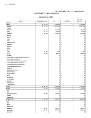 2023_3-3.事業区分貸借対照表内訳表_沖縄市社会福祉協議会のサムネイル